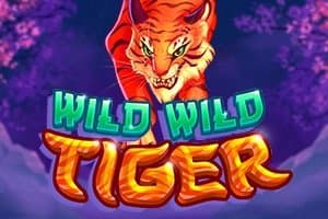 Wild Wild Tiger slot game by Swintt