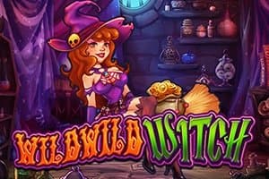 Wild Wild Witch slot game by Swintt