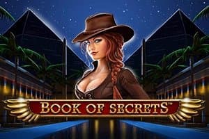 Book of Secrets slot game by SYNOT Games