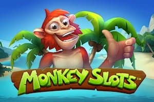 Monkey Slots slot game by SYNOT Games