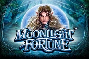Moonlight Fortune slot game by SYNOT Games