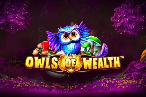 Owls of Wealth slot game by SYNOT Games
