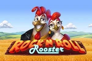 Rock 'N' Roll Rooster slot game by SYNOT Games