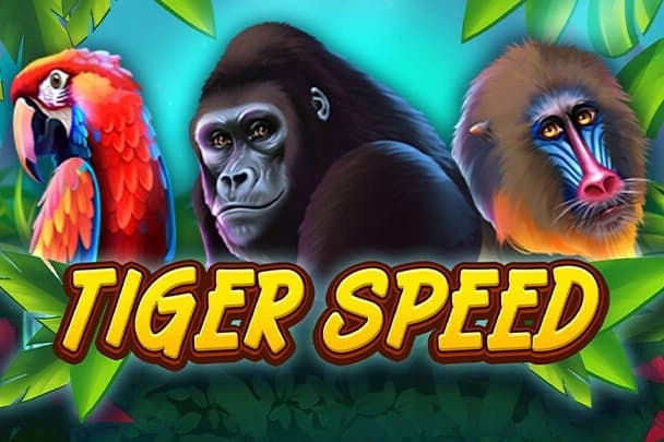 Tiger Speed slot game by Tech4Bet