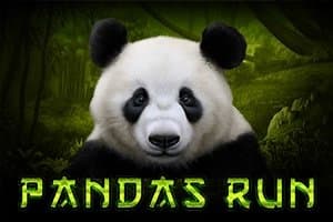 Pandas Run slot game by Tom Horn Gaming