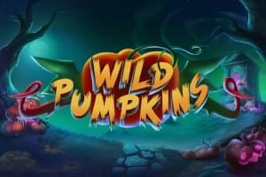 Wild Pumpkins slot game by TrueLab