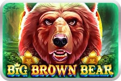 Big Brown Bear slot game by UU Slots