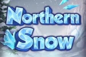 Northern Snow slot game by Vela Gaming