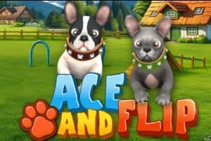 Ace and Flip slot game by WGS