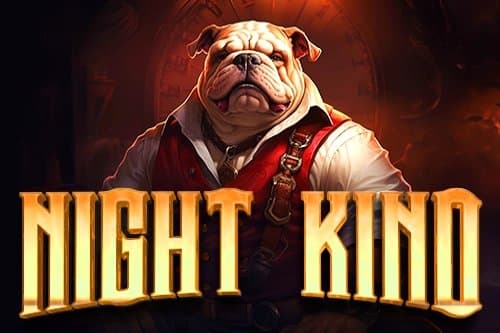Night Kind slot game by Wild Gaming