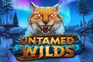 Untamed Wilds slot game by Yggdrasil Gaming