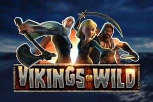 Vikings Go Wild slot game by Yggdrasil Gaming