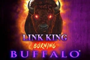 Link King Burning Buffalo slot game by Zitro