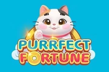 Purrfect Fortune slot game by 916 Gaming