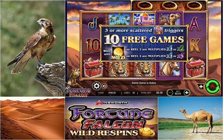 Fortune Falcon Wild Respins slot game by Ainsworth