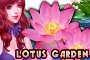 Lotus Garden slot game by DigitalWin