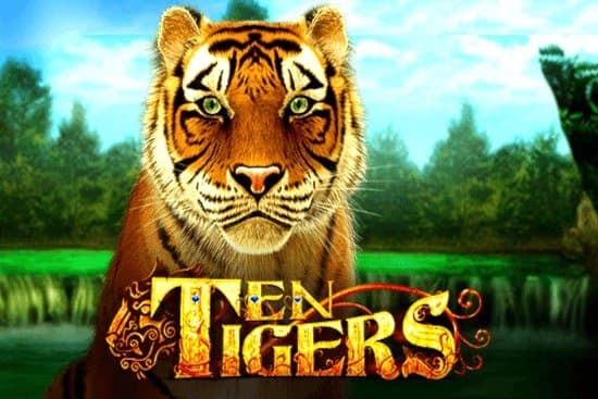 Ten Tigers slot game by GMW
