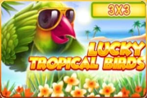 Lucky Tropical Birds 3x3 slot game by InBet Games