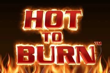 Hot to Burn slot game by Pragmatic Play