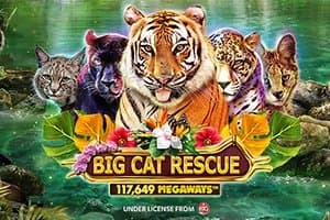 Big Cat Rescue Megaways slot game by Red Tiger Gaming