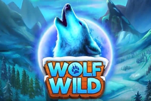 Wolf Wild slot game by REEVO