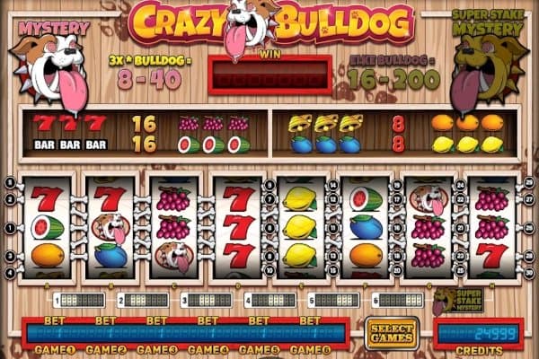 Crazy Bulldog slot game by Stakelogic