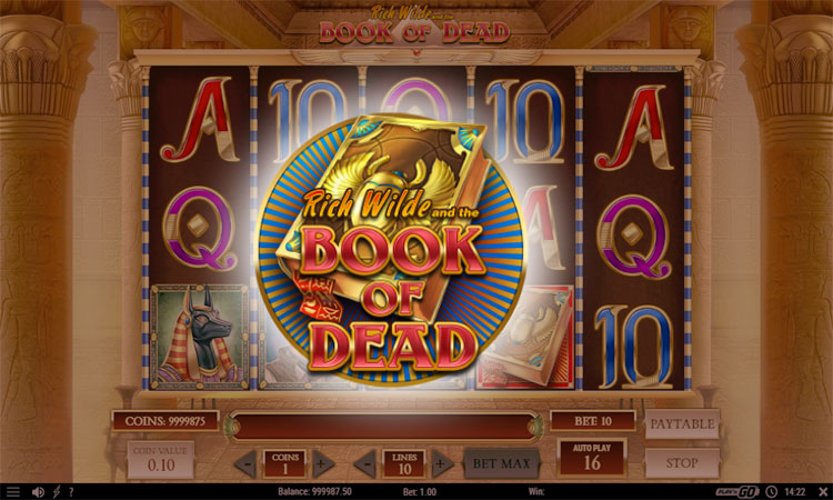 A preview into Book of Dead slot game