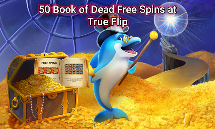 Free spins at trueflip image